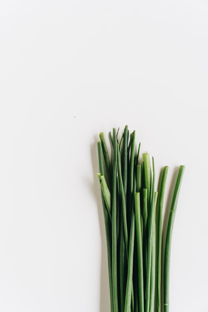 Close-Up Photo Of Garlic Chives